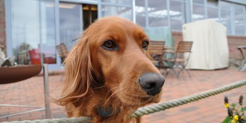 DSC_0331.JPG